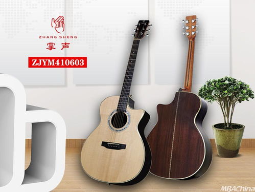 掌聲音樂(lè)器 以品牌戰(zhàn)略驅(qū)動(dòng)，布局千萬(wàn)級(jí)市場(chǎng)新藍(lán)圖